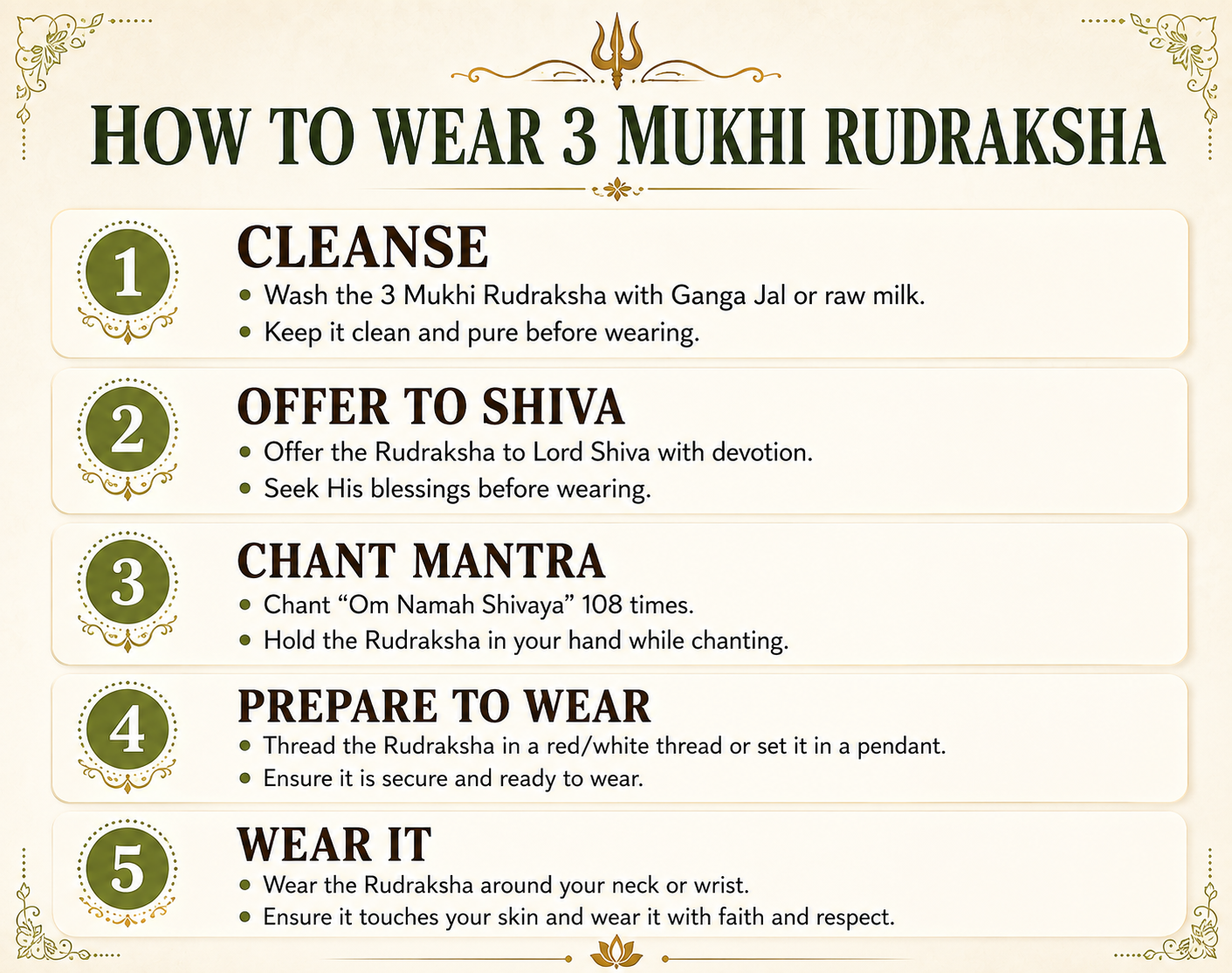 3 Mukhi Rudraksha ( Nepal Origin )